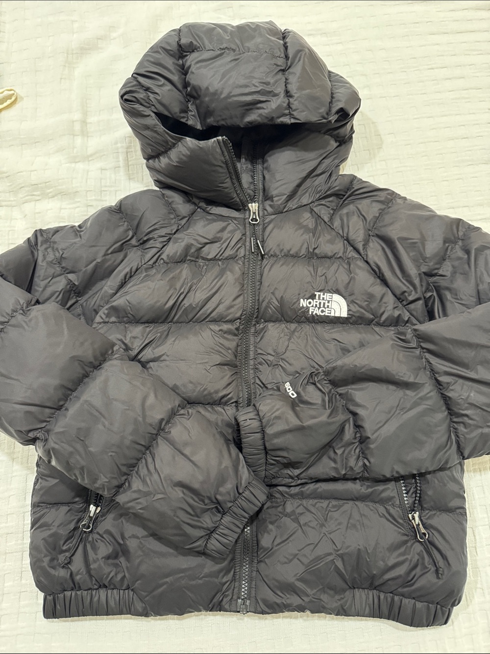 The North Face Black Quilted Down Puffer Jacket with Hood 600